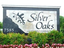Silver Oaks