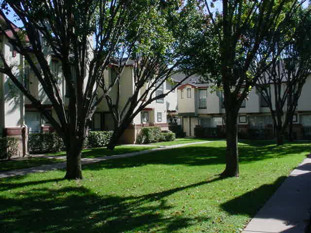 19019 Preston Townhomes Apartment