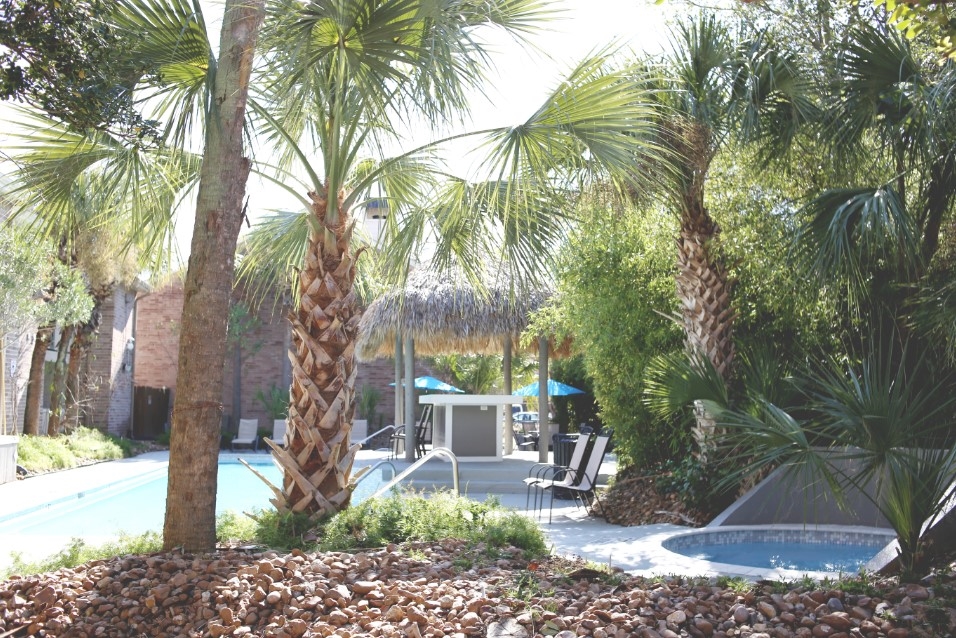 Bear Creek - Pool - Photo 3 of 15