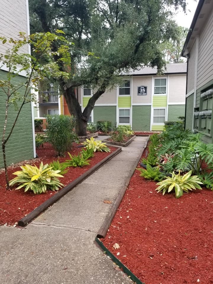 walnut creek apartments houston