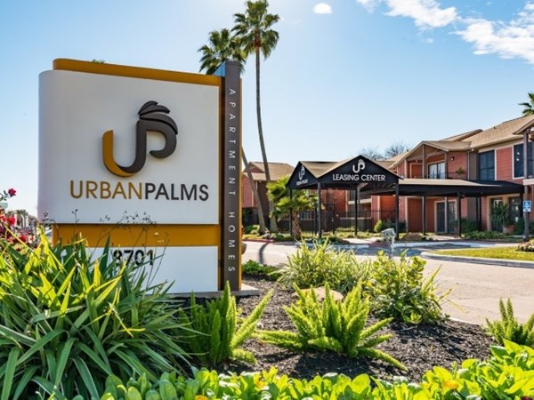 Urban Palms