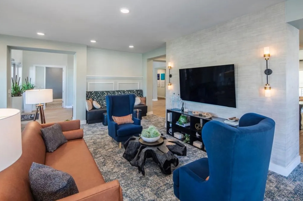 Affinity at Lewisville - Lounge - Photo 3 of 16