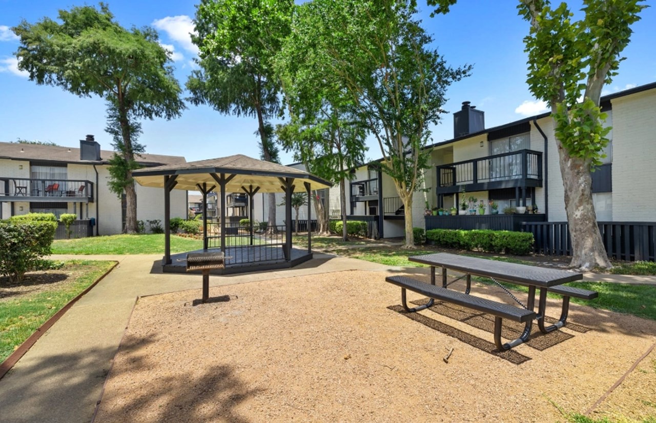 Athena - Houston, TX - Photo 1 of 17