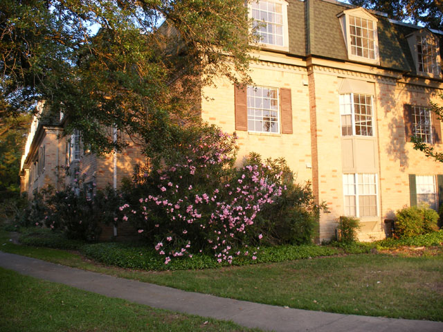 Treemont Retirement Community Apartment