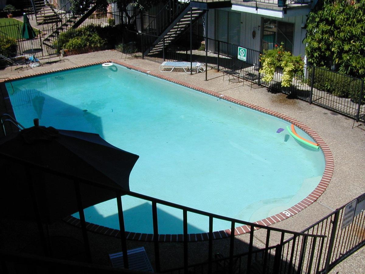 Westbriar - Pool - Photo 4 of 4