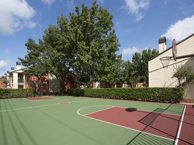 Foundations at Austin Colony - Basketball - Photo 7 of 19