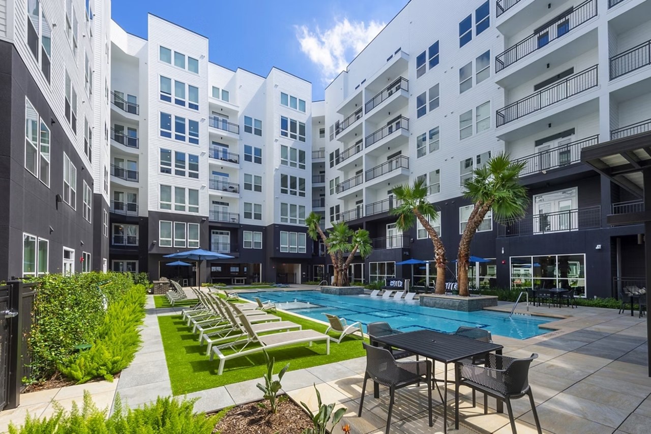 Windsor Shepherd - Houston, TX - Photo 1 of 28