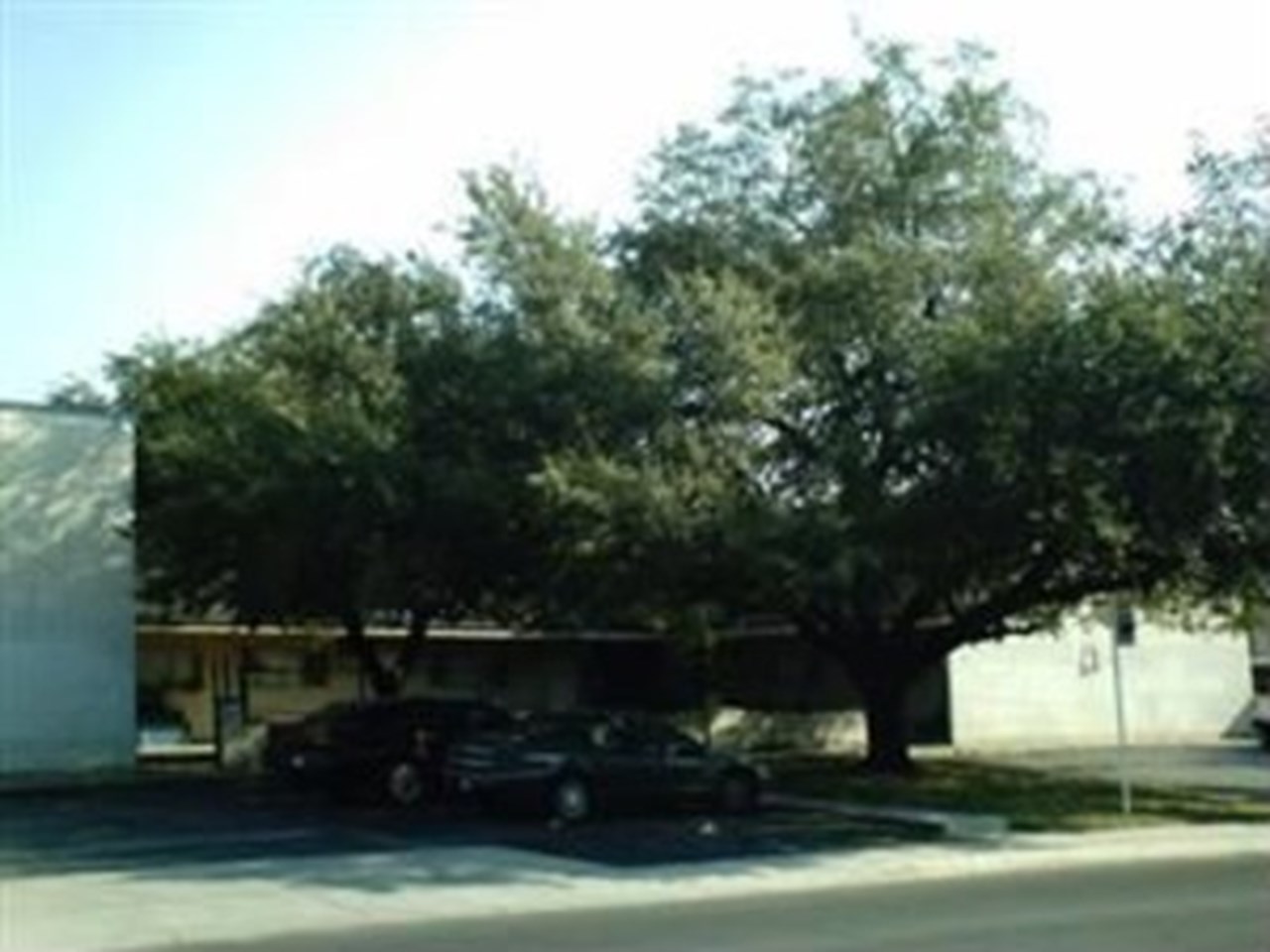 Cameo House - San Antonio, TX - Photo 1 of 2
