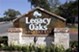 Legacy Oaks