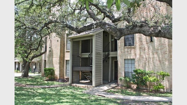 Towering Oaks