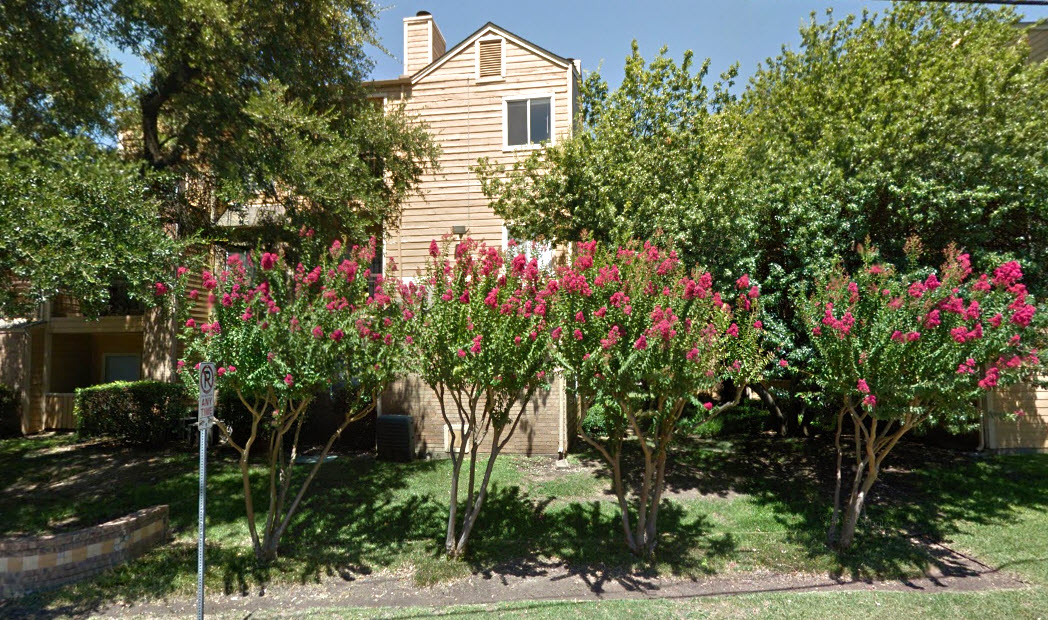 City Limits Apartment