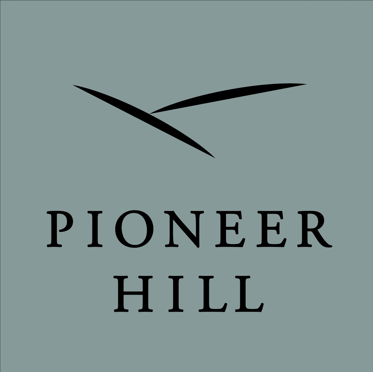 Pioneer Hill - Austin, TX - Photo 1 of 19