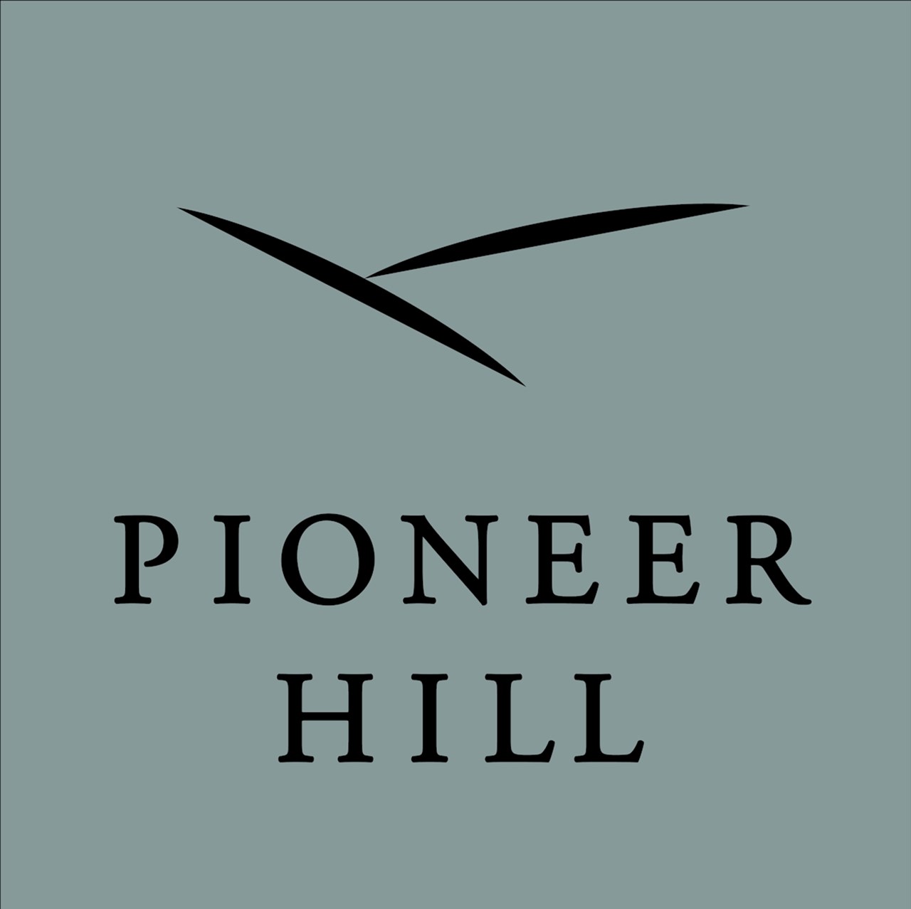 Pioneer Hill - Austin, TX - Photo 1 of 19