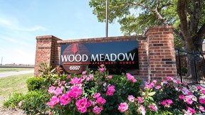 Wood Meadow