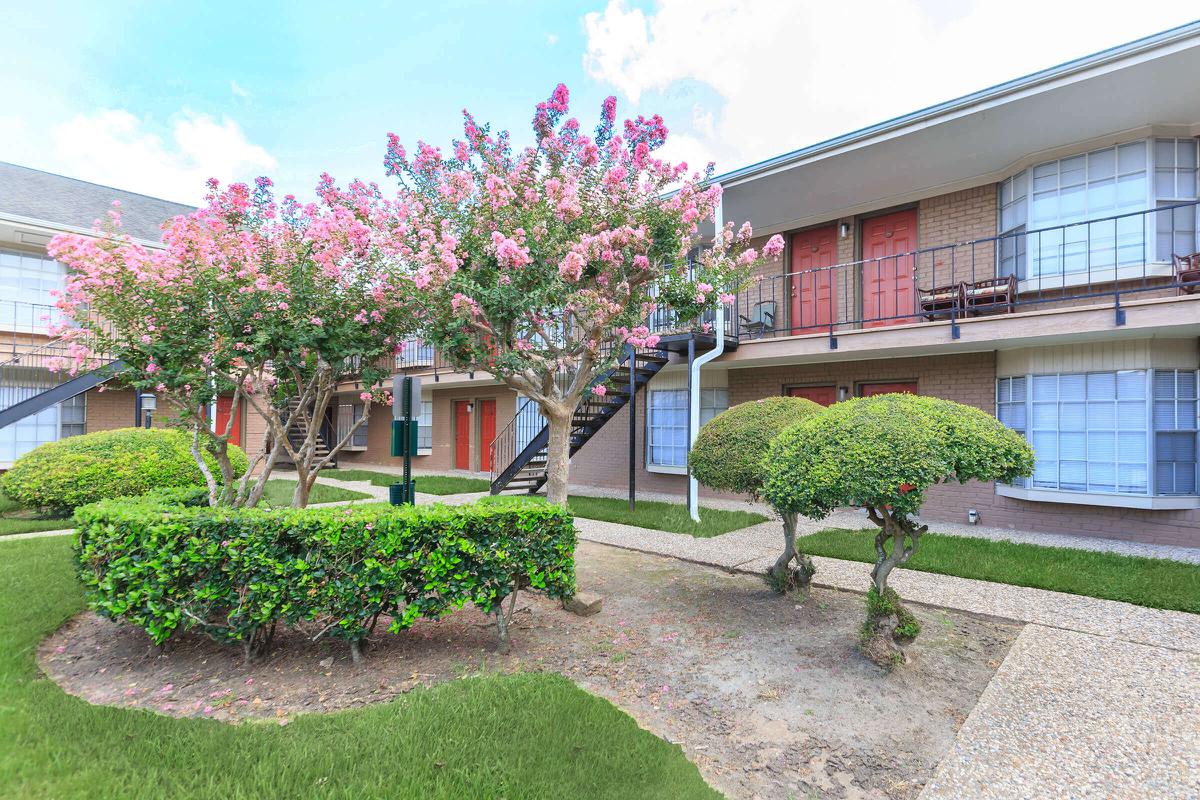 Solano Apartments Webster - $1010+ for 1, 2 & 3 Bed Apts