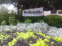 Hollyhills