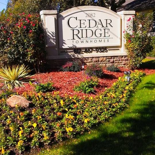 Cedar Ridge Townhomes I Arlington 1420+ for 2 & 3 Beds