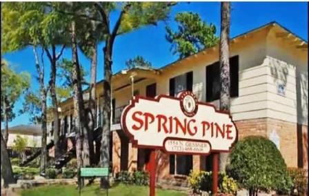 Spring Pine Apartment