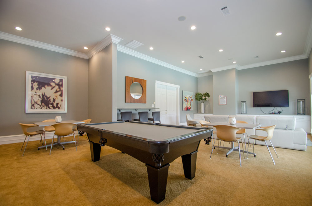Addison at Sugarland - Gameroom - Photo 7 of 17