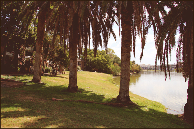 Oaks at Nassau Bay Apartment