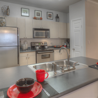 Village of Hawks Creek - Kitchen - Photo 8 of 12