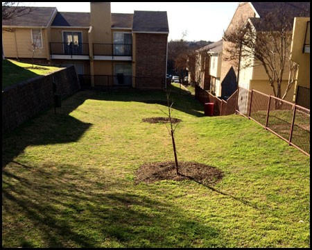 Park on Whitehurst Apartment