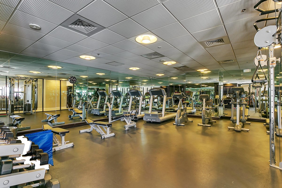 Shelton - Fitness - Photo 6 of 9