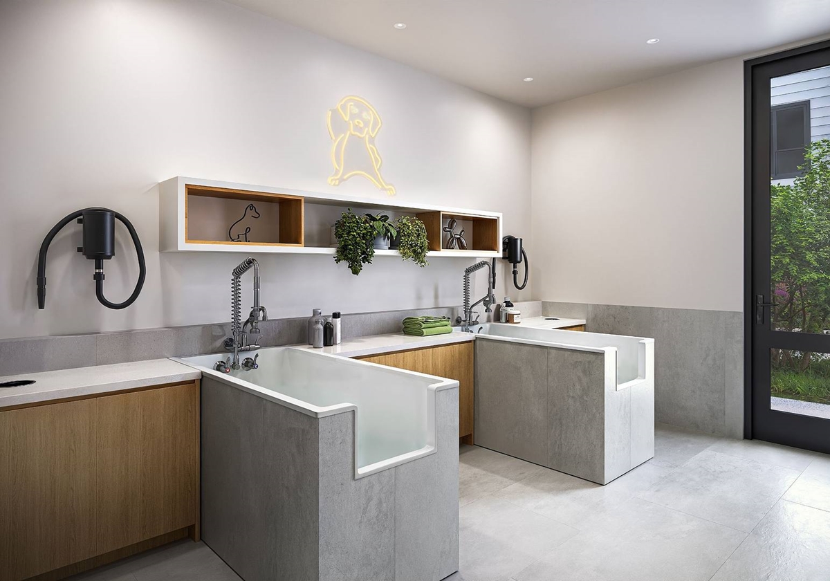 Azola Avery Centre - Pet Spa - Photo 7 of 20