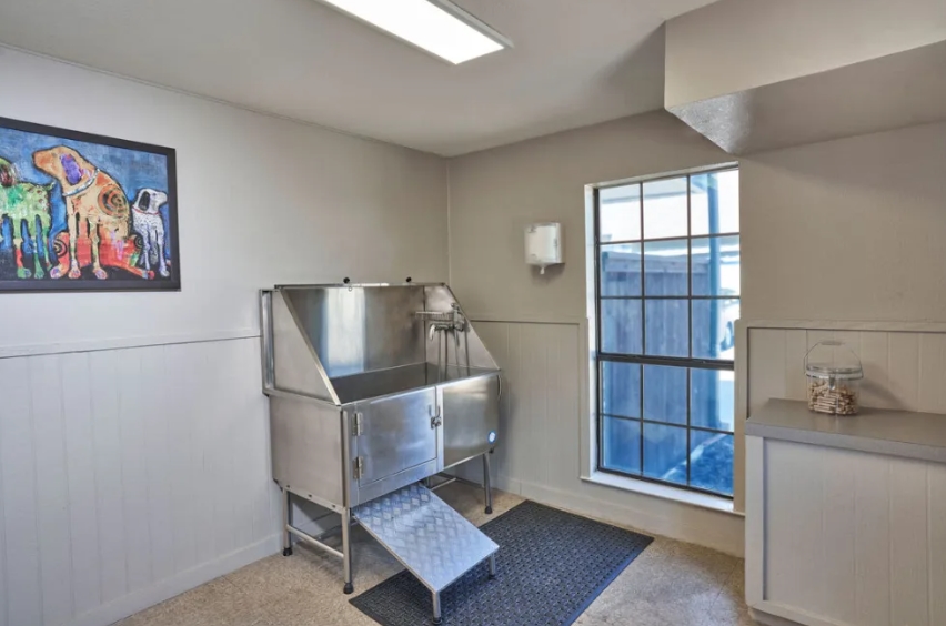 Fountains of Preston Hollow - Pet Spa - Photo 8 of 18