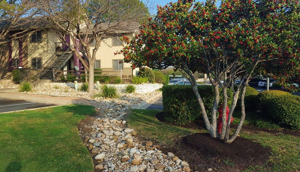 Villas of Quail Creek Austin 1129+ for 1 & 2 Bed Apts