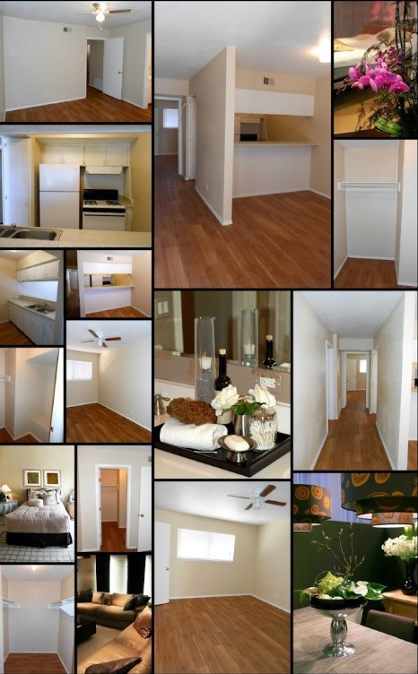 Silver Springs - Interior Collage - Photo 3 of 4