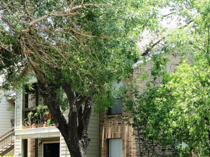 Silver Creek Austin 1135+ for 1 & 2 Bed Apts