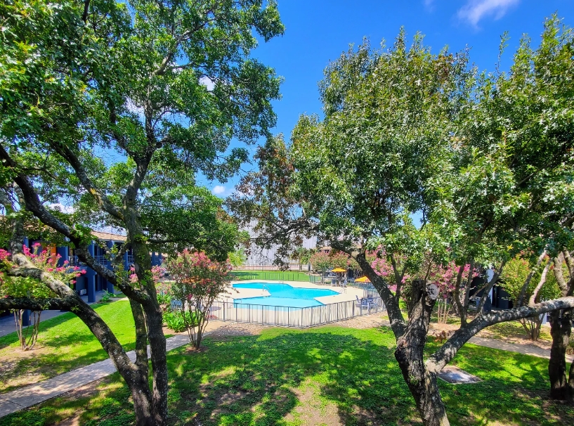 Centro Studio Homes - Pool - Photo 6 of 30