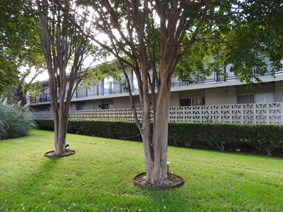Fairfax Apartments Dallas Texas