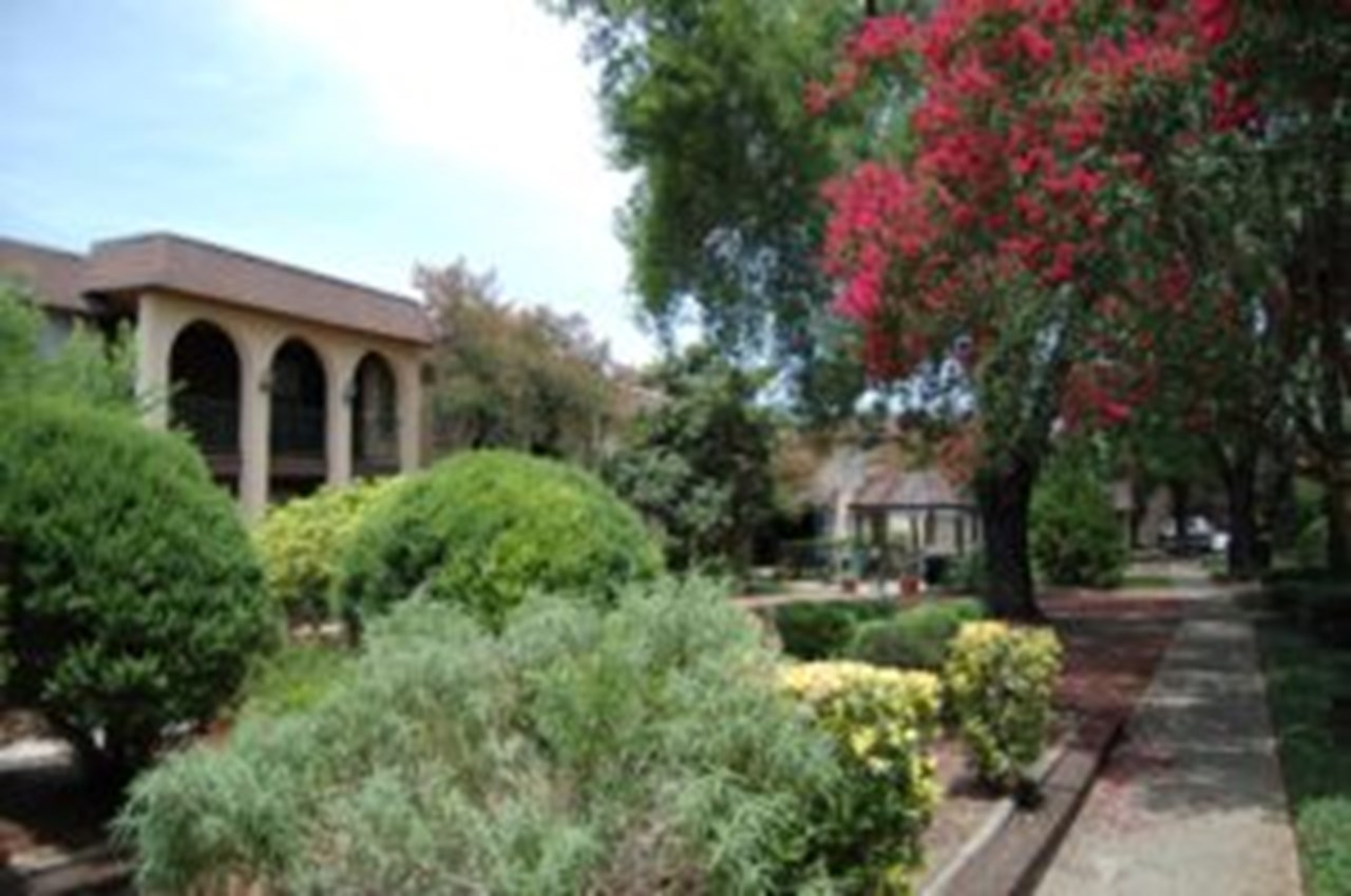 Wilshire Woods - San Antonio, TX - Photo 1 of 7