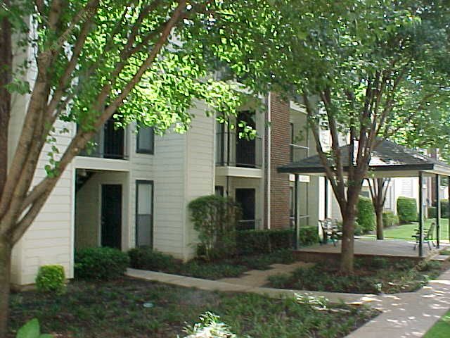 Bellevue Terrace Apartment