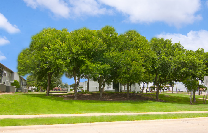Chateau Estates - Courtyard - Photo 7 of 13